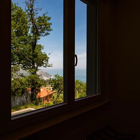 Le Relais Du Lierre Hotel Poggio  Room photo